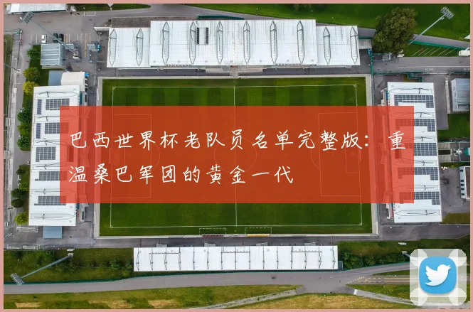 巴西世界杯老队员名单完整版：重温桑巴军团的黄金一代