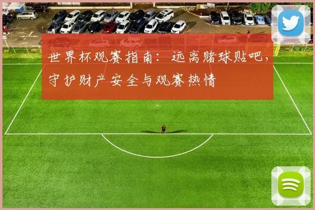 世界杯观赛指南：远离赌球贴吧，守护财产安全与观赛热情