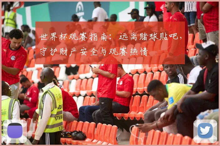 世界杯观赛指南：远离赌球贴吧，守护财产安全与观赛热情