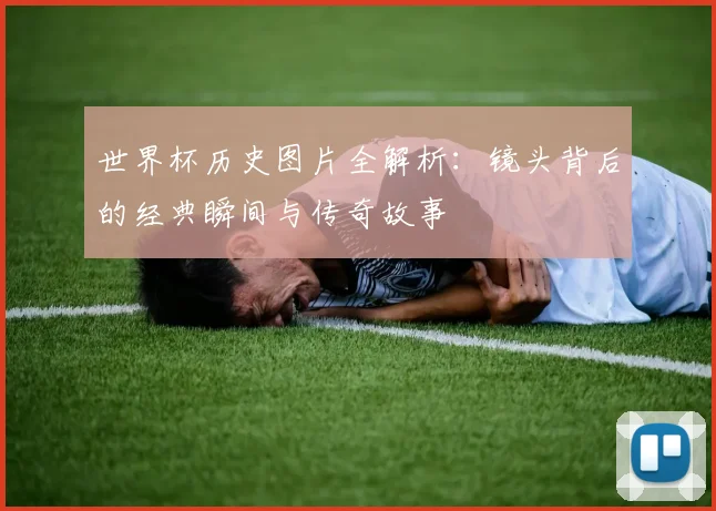 世界杯历史图片全解析：镜头背后的经典瞬间与传奇故事