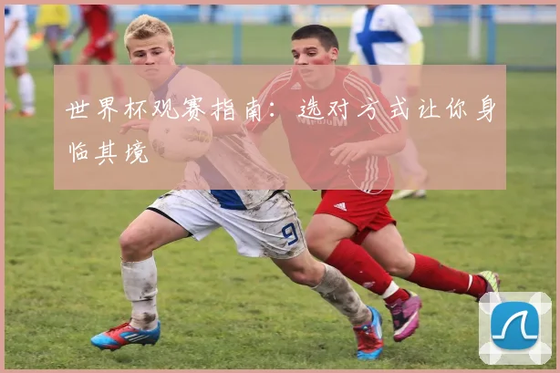 世界杯观赛指南:选对方式让你身临其境