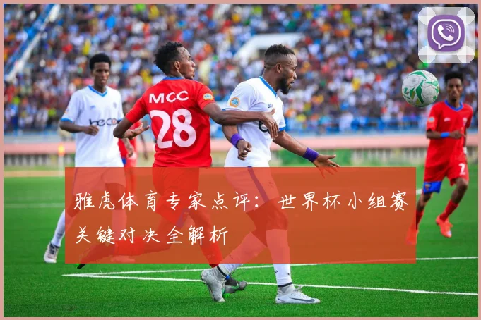 雅虎体育专家点评：世界杯小组赛关键对决全解析