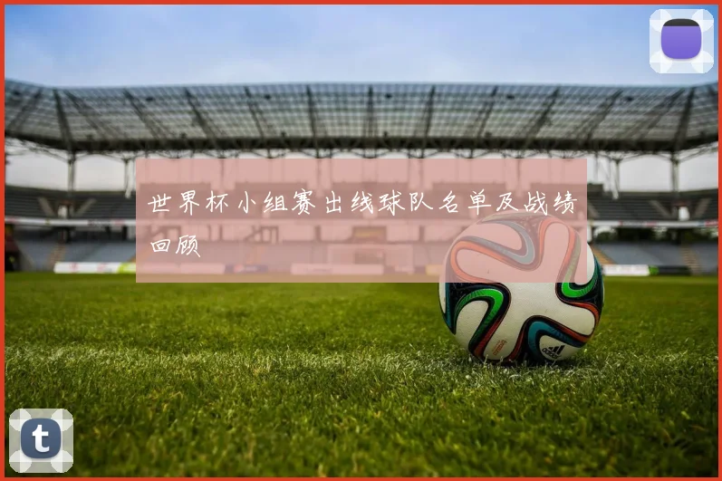世界杯小组赛出线球队名单及战绩回顾