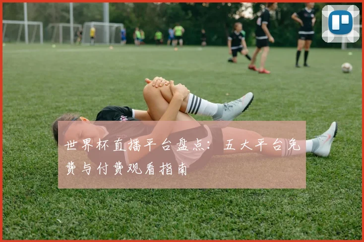 世界杯直播平台盘点:五大平台免费与付费观看指南