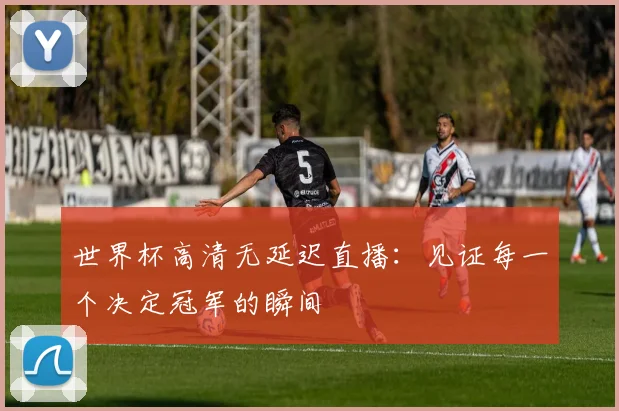 世界杯高清无延迟直播:见证每一个决定冠军的瞬间