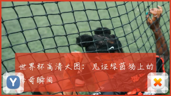 世界杯高清大图:见证绿茵场上的传奇瞬间