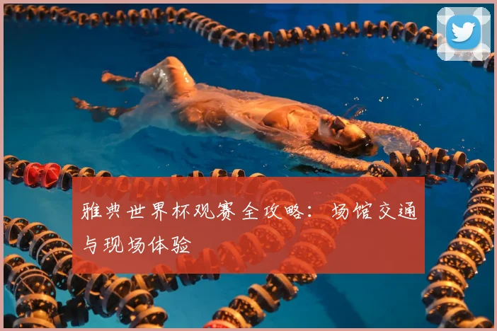 雅典世界杯观赛全攻略：场馆交通与现场体验